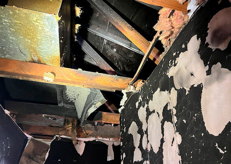 Exposed roof beams and insulation with water damage, peeling paint, and decay, illuminated by a flashlight in a dark space.