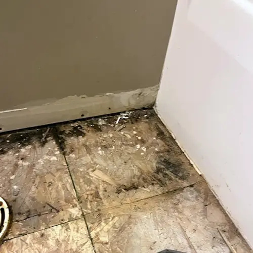 Mold under baseboards