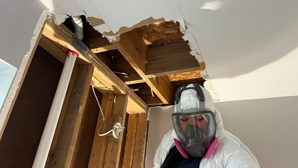 A person in protective gear inspects a damaged ceiling with exposed wooden beams and pipes visible in a home environment.