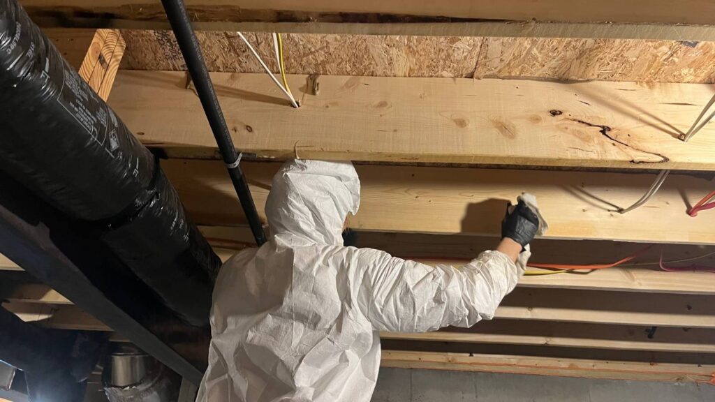 A worker in a white protective suit and gloves wipes wooden beams in a basement, surrounded by exposed pipes and electrical wiring.