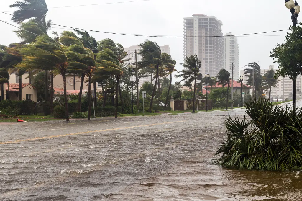 Florida Hurricane Damage Claims