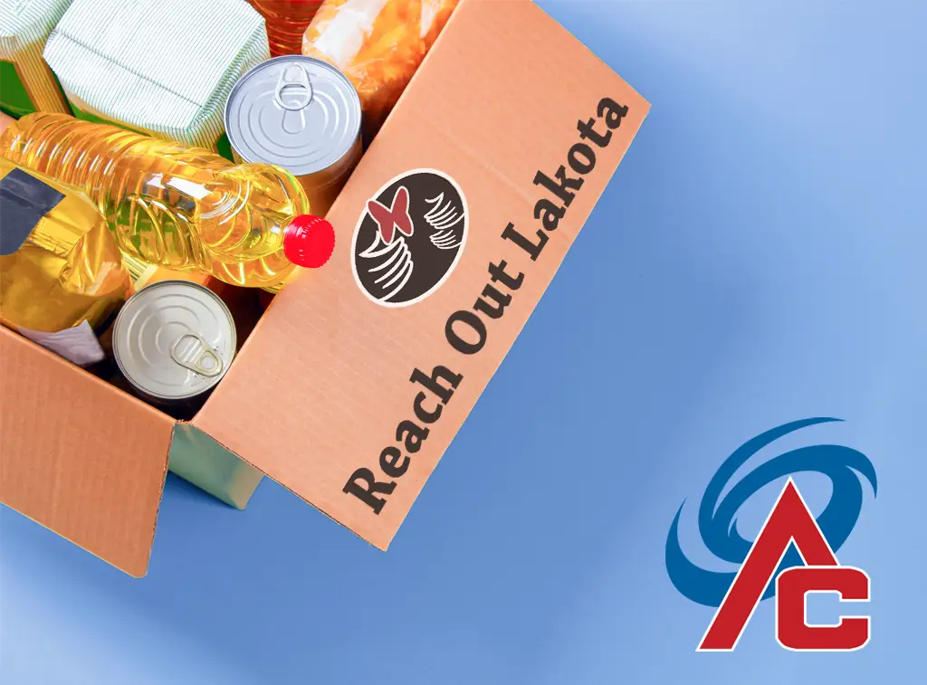 Food drive image showing cans in a box.