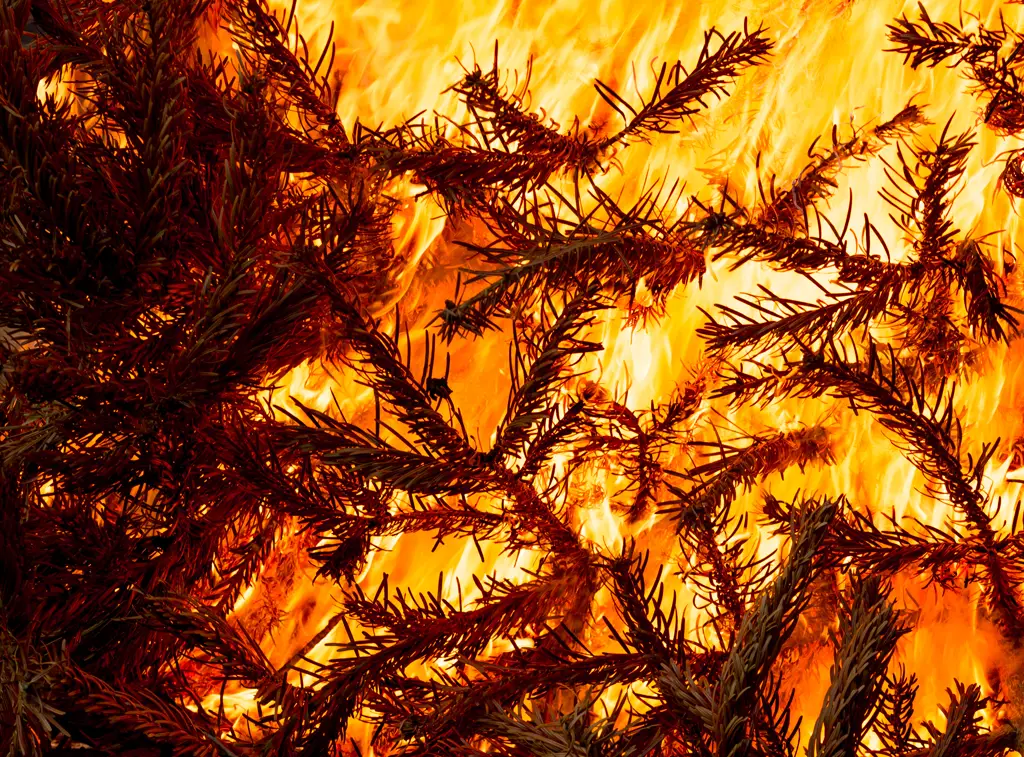 Winter is high Risk for fires