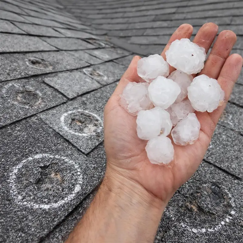 Hail damage on shingles.