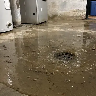 Drain backing up in basement.