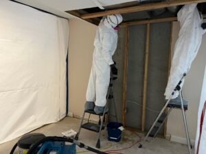 Mold Remediation photo
