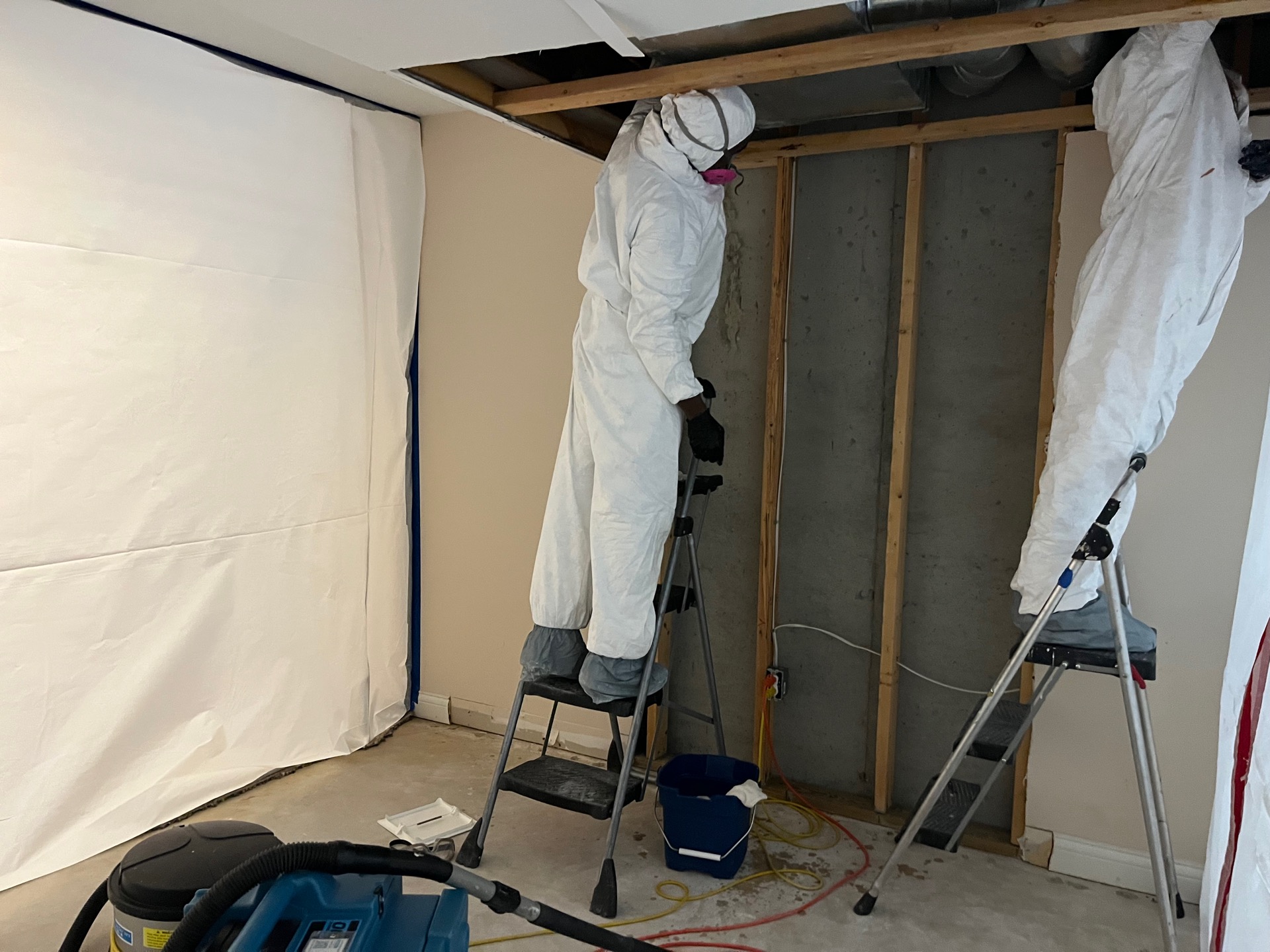 Mold Remediation photo