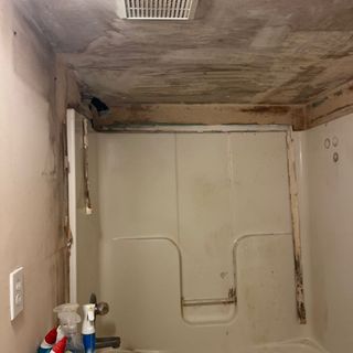 Mold Remediation photo