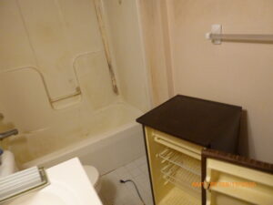 Mold Remediation photo