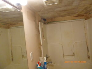 Mold Remediation photo