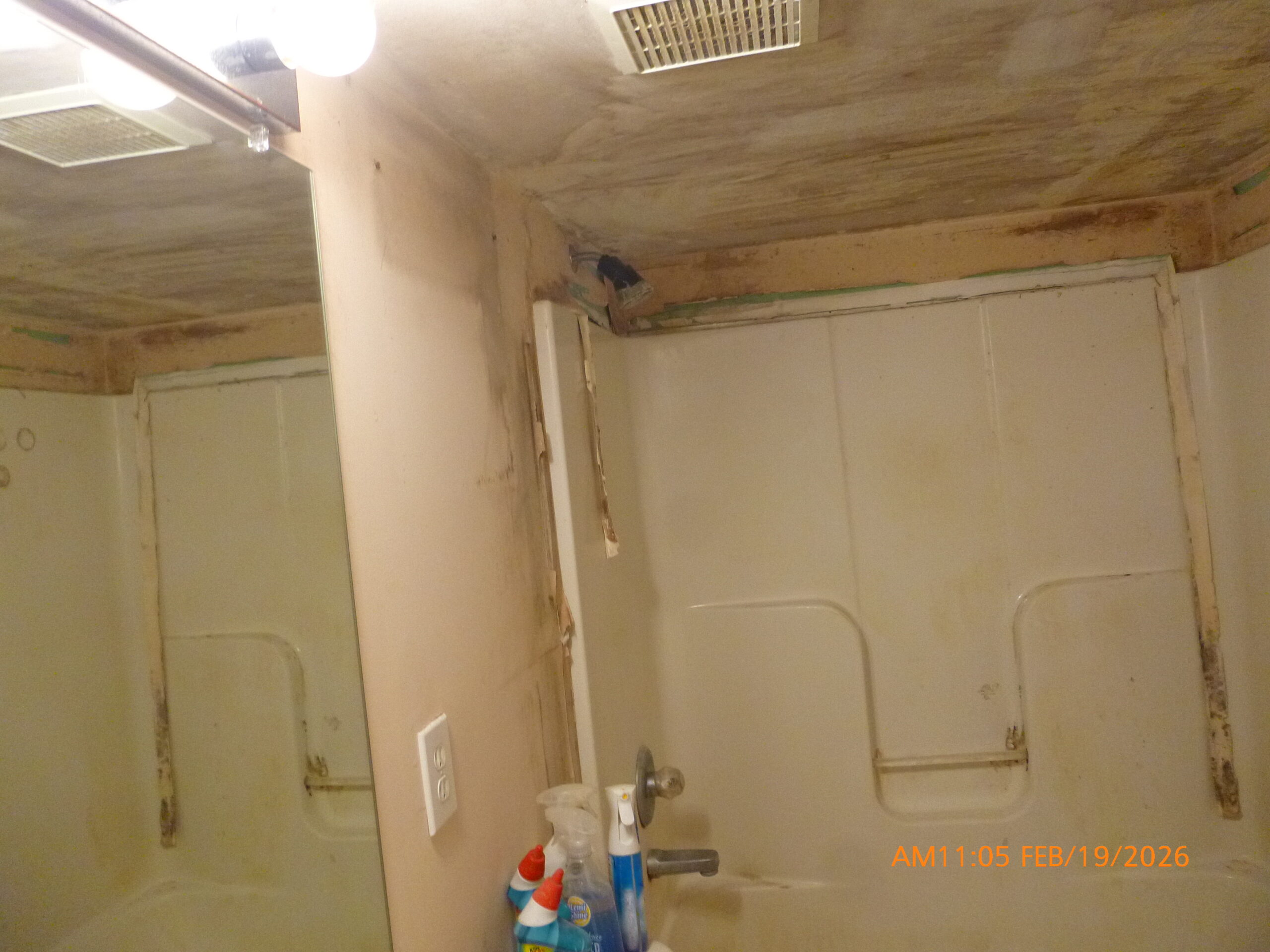 Mold Remediation photo